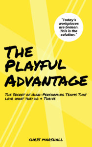 The Playful Advantage Book